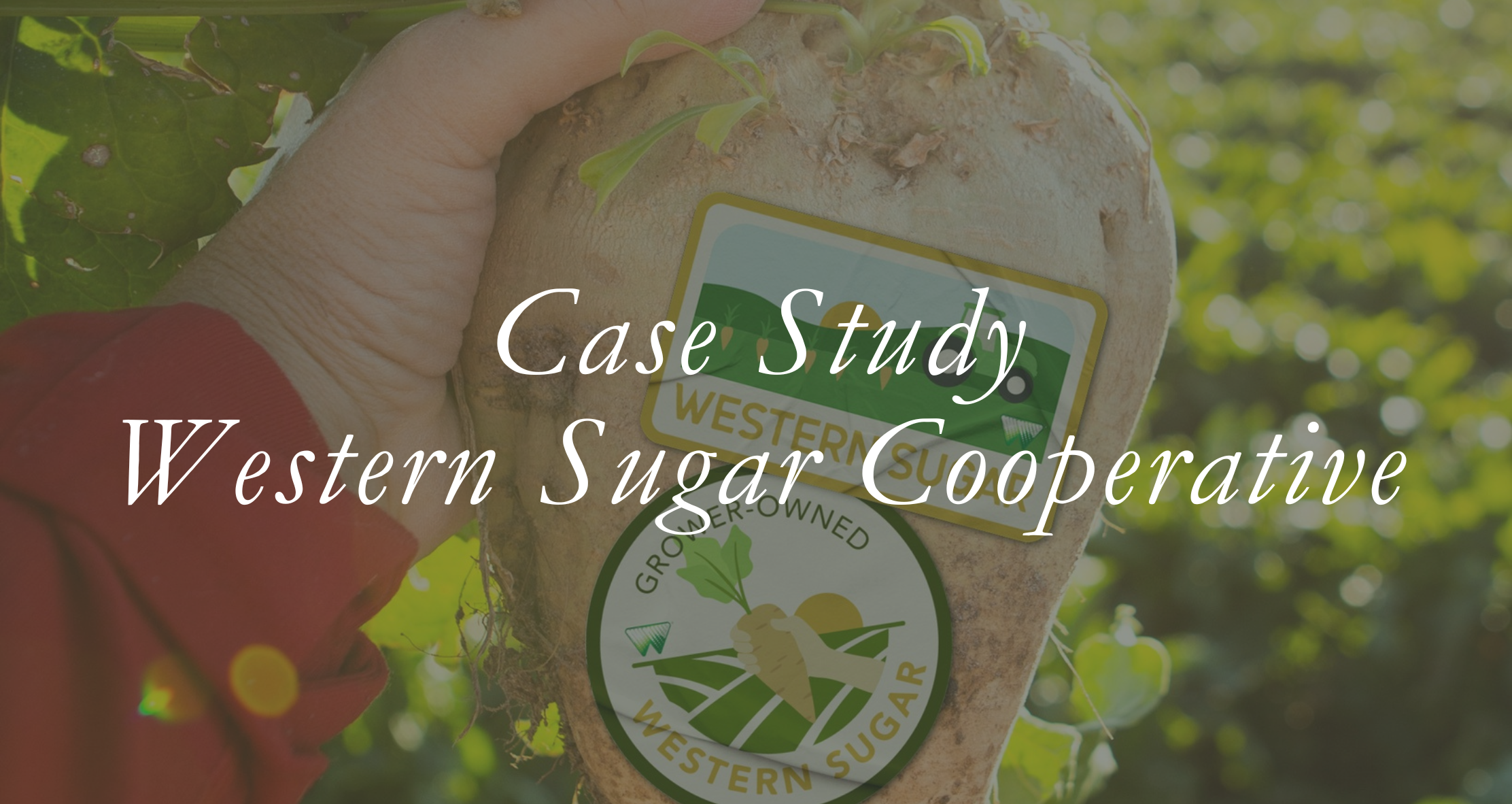 Case Study: Western Sugar Cooperative